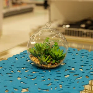 Hanging Glass Terrarium